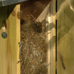 Esschert Design NKO abri pour oiseau - Vue supplémentaire 9