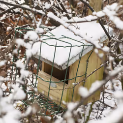 Esschert Design NKVV abri pour oiseau - Vue supplémentaire 10