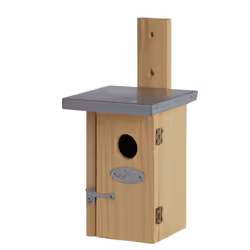 Esschert Design NKN, 113 mm, 135 mm, 250 mm, 8 pièce(s)