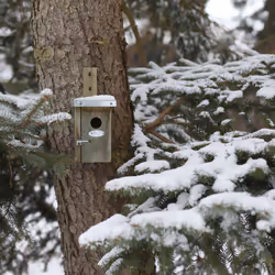 Esschert Design NKN abri pour oiseau - Vue supplémentaire 8