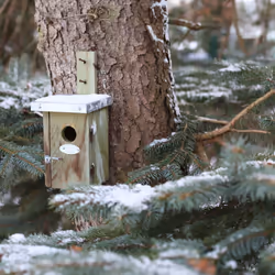 Esschert Design NKN abri pour oiseau - Vue supplémentaire 9