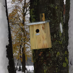 Esschert Design NKY abri pour oiseau - Vue supplémentaire 8