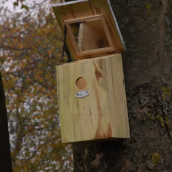 Esschert Design NKY abri pour oiseau - Vue supplémentaire 9