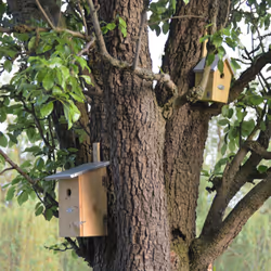 Esschert Design NKGG abri pour oiseau - Vue supplémentaire 7