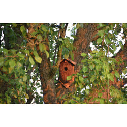 Esschert Design 8714982005619 abri pour oiseau Support