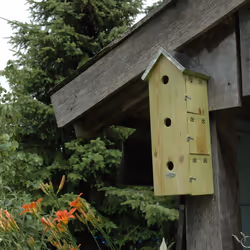 Esschert Design NKM abri pour oiseau - Vue supplémentaire 8