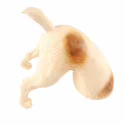 Esschert Design AV01 statue et figurine décorative