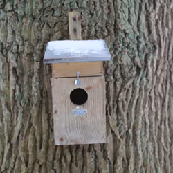 Esschert Design NKS abri pour oiseau - Vue supplémentaire 10