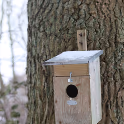 Esschert Design NKS abri pour oiseau - Vue supplémentaire 11