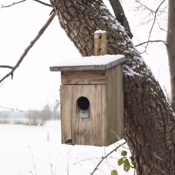 Esschert Design NKS abri pour oiseau - Vue supplémentaire 12