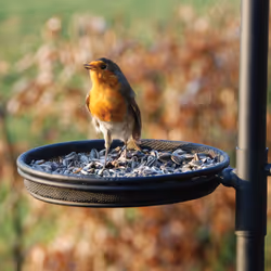 Esschert Design FB150 mangeoire pour oiseau - Vue supplémentaire 4