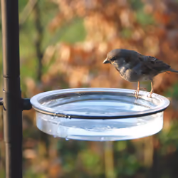Esschert Design FB150 mangeoire pour oiseau - Vue supplémentaire 5