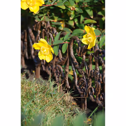 Esschert Design 8714982037665 palissade et grillage pour jardin Clôture en métal