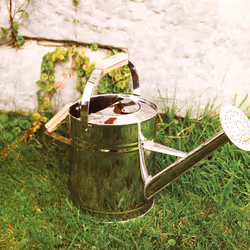 Esschert Design GT50 Arrosoir 7,16 L Acier inoxydable