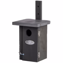 Esschert Design NK38G, 114 mm, 135 mm, 252 mm, 8 pièce(s)