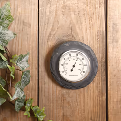 Esschert Design LS226 thermomètre environnement