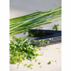 Esschert Design 8714982061882 ciseau de cuisine 275 mm Vert, Acier inoxydable Herbe
