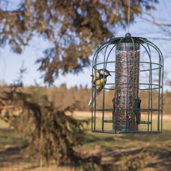 Esschert Design FB207 mangeoire pour oiseau