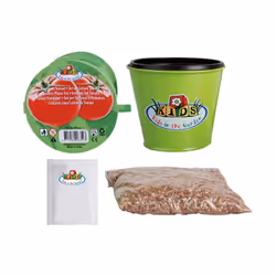 Facile, Amusant, Vrai ! Kit de plantation de tomates pour enfant contenant tout le nécessaire : pot, terreau, sachet de grain ...