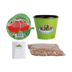 Esschert Design - Kit de plantation de tomates : commencez votre jardinage