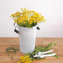 Esschert Design OZ32 vase