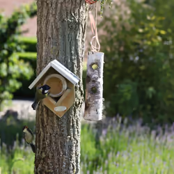 Esschert Design FB261 aliment pour oiseaux sauvages