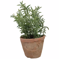 Esschert Design AH001, 12 pièce(s), 97 mm, 97 mm, 161 mm