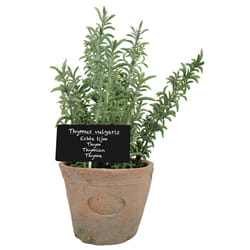 Esschert Design AH002 plante artificielle