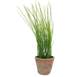 Esschert Design AH005 plante artificielle