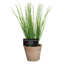 Esschert Design AH006 plante artificielle