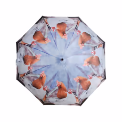 Esschert Design TP137 parapluie