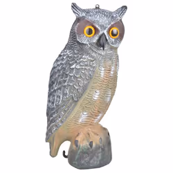 Les étourneaux, les pigeons et autres oiseaux de petite et moyenne taille sont souvent des invités indésirables dans les pota ...