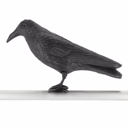 Esschert Design 8714982098659 statue de jardin Statue animal de jardin Polyéthylène Noir 1 pièce(s) - Vue supplémentaire 10