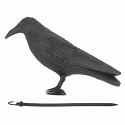 Esschert Design 8714982098659 statue de jardin Statue animal de jardin Polyéthylène Noir 1 pièce(s) - Vue supplémentaire 11