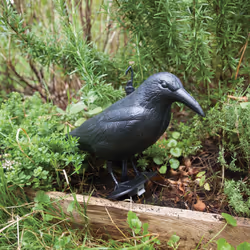 Esschert Design 8714982098659 statue de jardin Statue animal de jardin Polyéthylène Noir 1 pièce(s) - Vue supplémentaire 16