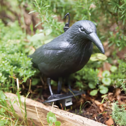 Esschert Design 8714982098659 statue de jardin Statue animal de jardin Polyéthylène Noir 1 pièce(s) - Vue supplémentaire 17