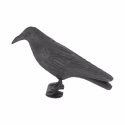 Esschert Design 8714982098659 statue de jardin Statue animal de jardin Polyéthylène Noir 1 pièce(s)