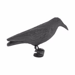 Esschert Design 8714982098659 statue de jardin Statue animal de jardin Polyéthylène Noir 1 pièce(s) - Vue supplémentaire 7