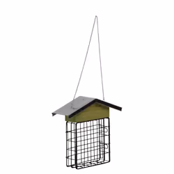 Esschert Design FB292 mangeoire pour oiseau