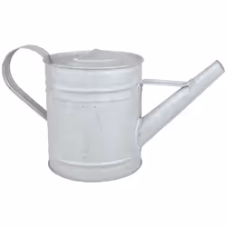 Esschert Design OZ42, 0,75 L, Zinc, Zinc