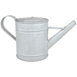 Esschert Design OZ42 Arrosoir 0,75 L Zinc