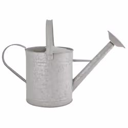 Esschert Design OZ46, 6,5 L, Zinc, Zinc