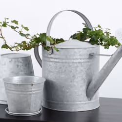 Esschert Design OZ49 jardinière 24 pièce(s)