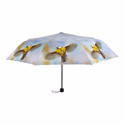 Esschert Design TP151 parapluie