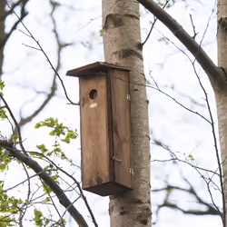 Esschert Design NKX abri pour oiseau - Vue supplémentaire 11
