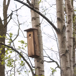 Esschert Design NKX abri pour oiseau - Vue supplémentaire 12