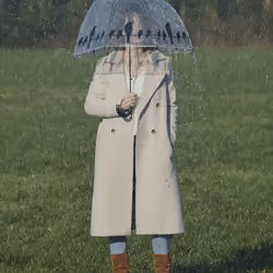 Esschert Design 8714982106354 parapluie Noir, Transparent Acier Polypropylène (PP) Complet - Vue supplémentaire 4