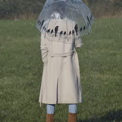 Esschert Design 8714982106354 parapluie Noir, Transparent Acier Polypropylène (PP) Complet - Vue supplémentaire 5