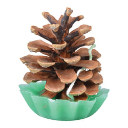 Esschert Design FF226 allume-feu d'urgence Vert, Bois