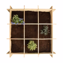 Esschert Design B1012 pot à fleurs Intérieur & extérieur Jardinière Autonome Bois de pin, Polypropylène (PP) Bois